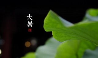 大暑是最热的一天吗（大暑是不是最热的一天）