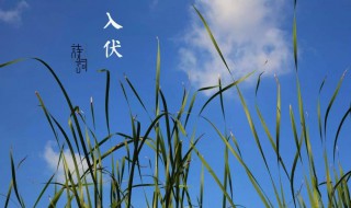 头伏是几月几号2021年 头伏是几月几号2021年几天