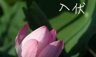 2021年头伏是哪一天 2021年头伏是哪一天开始