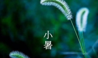 2021年小暑后第一个未日是什么时候 2021年小暑后的第一个未日