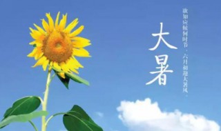 处暑和大暑哪个更热 大暑与处暑哪个更热