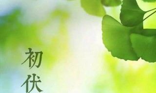 初伏有什么讲究（初伏有什么讲究吗）