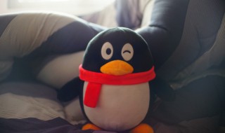 qq怎么解绑手机号 qq怎么解绑手机号码绑定2022