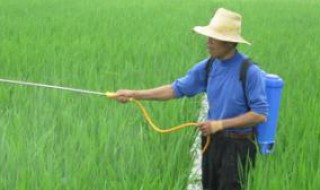 野老除草剂使用方法?（野老除草剂能喷雾吗）