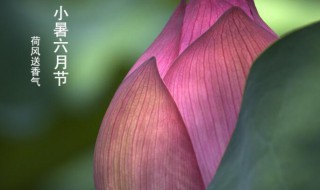 小暑节气的传说 关于小暑节气民间传说