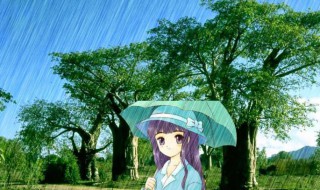 小暑下雨好还是不下雨好（小暑下雨好还是晴天好）