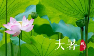 2021年大暑几日几时几分（2021年大暑几日几时几分立秋）