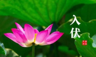 小暑是入伏的开始吗（进入小暑是初伏吗）