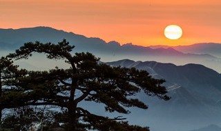 黄山介绍及特点（黄山介绍及特点演讲稿）