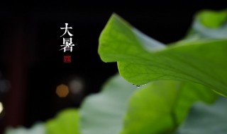 大暑养生要点讲解 大暑养生要点讲解大暑节气如何养生的短信