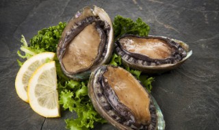 鲍鱼是寒性的还是温热 鲍鱼是温性吗