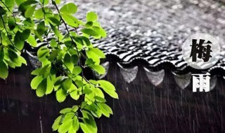 杭州梅雨季节是几月份（杭州梅雨季节是几月份到几月份结束）