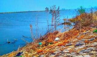 辽河是哪个省哪个市 辽河属于哪个省份哪个市的