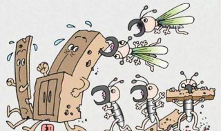 大水蚁和白蚁的区别（大水蚁属于白蚁吗）