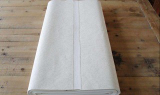 宣纸是非物质文化遗产吗（宣纸人类非物质遗产）