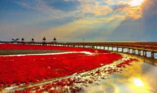 国家的实质是 国家的实质是什么机关