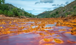 印度最出名的河叫什么河 印度最大的河叫什么河