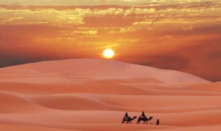 宁夏是省还是市（宁夏是省还是直辖市）