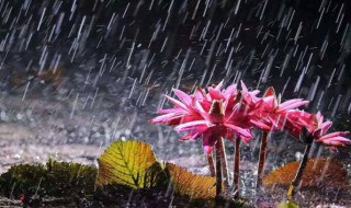 安徽梅雨季节是几月份（安徽梅雨季节是几月份啊）