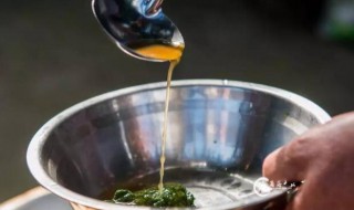 牛苦水是什么（牛苦肠水是什么）