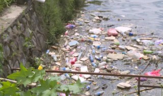 水体污染的四个危害（水体污染危害哪几个方面）