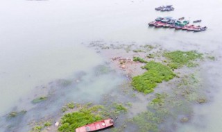 鄱阳湖面积多少平方千米 鄱阳湖面积多少平方千米