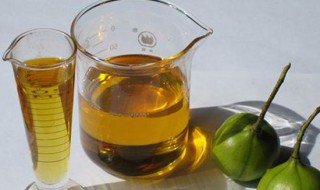 桐油的用途 桐油的用途这么广为什么这么便宜啊