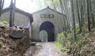 梅坞古道在哪里（梅关古道在哪里）