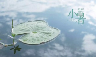 24节气小暑养生应注重什么（小暑节气养生要点）