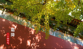 霜降节气的禁忌和讲究介绍 霜降节气养生小常识