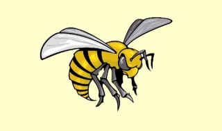 梦见马蜂是什么意思（梦到马蜂预示着什么）