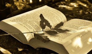 订单中的账期是指（批发订单的账期）