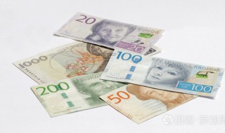 sek是什么货币 sek是什么货币符号