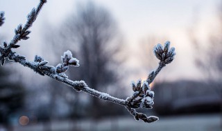 24节气霜降节气意味着什么 24节气的霜降是什么意思