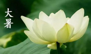 24节气大暑是什么意思（小暑大暑属于24节气吗）