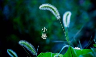 小暑节气的含义及习俗 小暑节气的由来和风俗