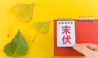 2021三伏天是什么意思 2021年三伏天是哪三伏