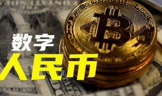 央行数字货币如何开户（央行数字货币如何开户交易）