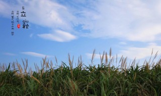 24节气立秋节气的含义是什么（24节气立秋是什么意思）