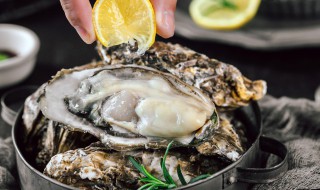 如何清洗生蚝内脏 如何清洗生蚝内脏视频教程