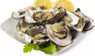 生蚝如何清洗内脏 生蚝如何清洗内脏视频