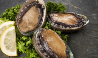 如何鲍鱼清洗干净 怎么洗鲍鱼干净