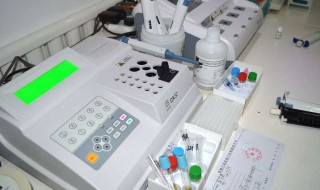 bod是什么意思 body是什么意思英语怎么读音