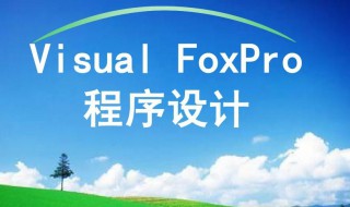 vf是什么意思（锂电池48vf是什么意思）