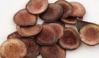 鹿茸的最佳保存方法（鹿茸怎样保存时间最长）