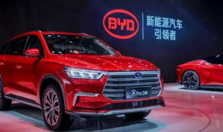 比亚迪公司简介 王传福个人简介