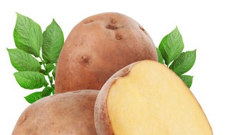 为什么发芽的马铃薯不能吃呢 为什么发芽的马铃薯不能吃呢