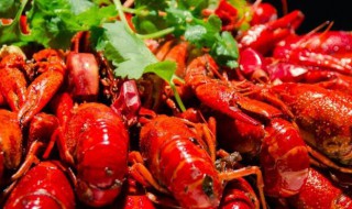 小龙虾的头到底能不能吃（小龙虾的头到底能不能吃了）