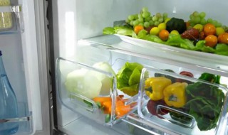 鼠曲草存放冰箱需要注意什么 鼠曲草存放冰箱需要注意什么