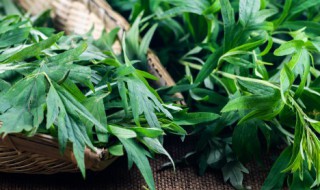 什么人不能用艾草枕头（什么人不能用艾草枕头上热敷多长时间算一个疗程）